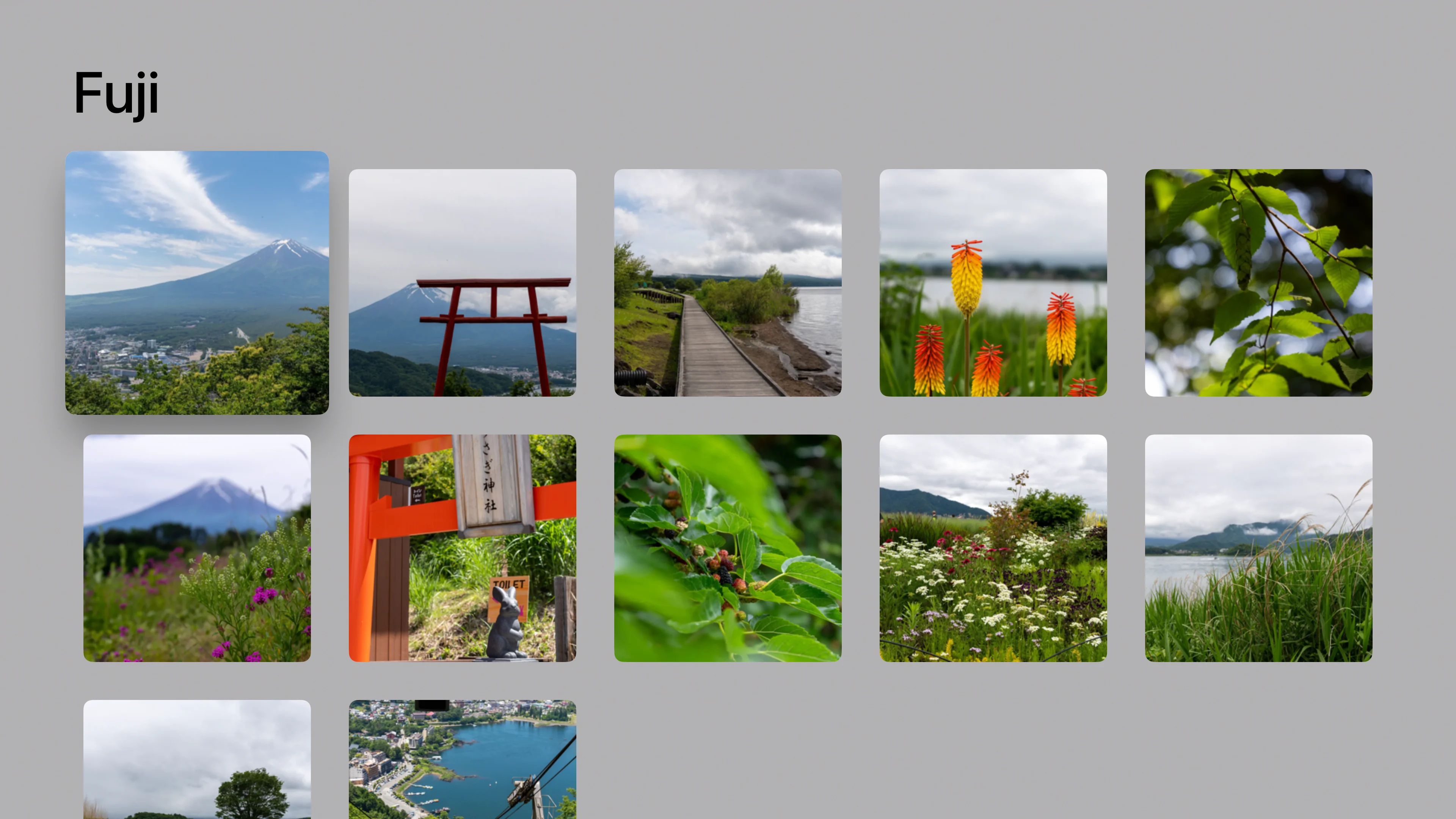 Album page