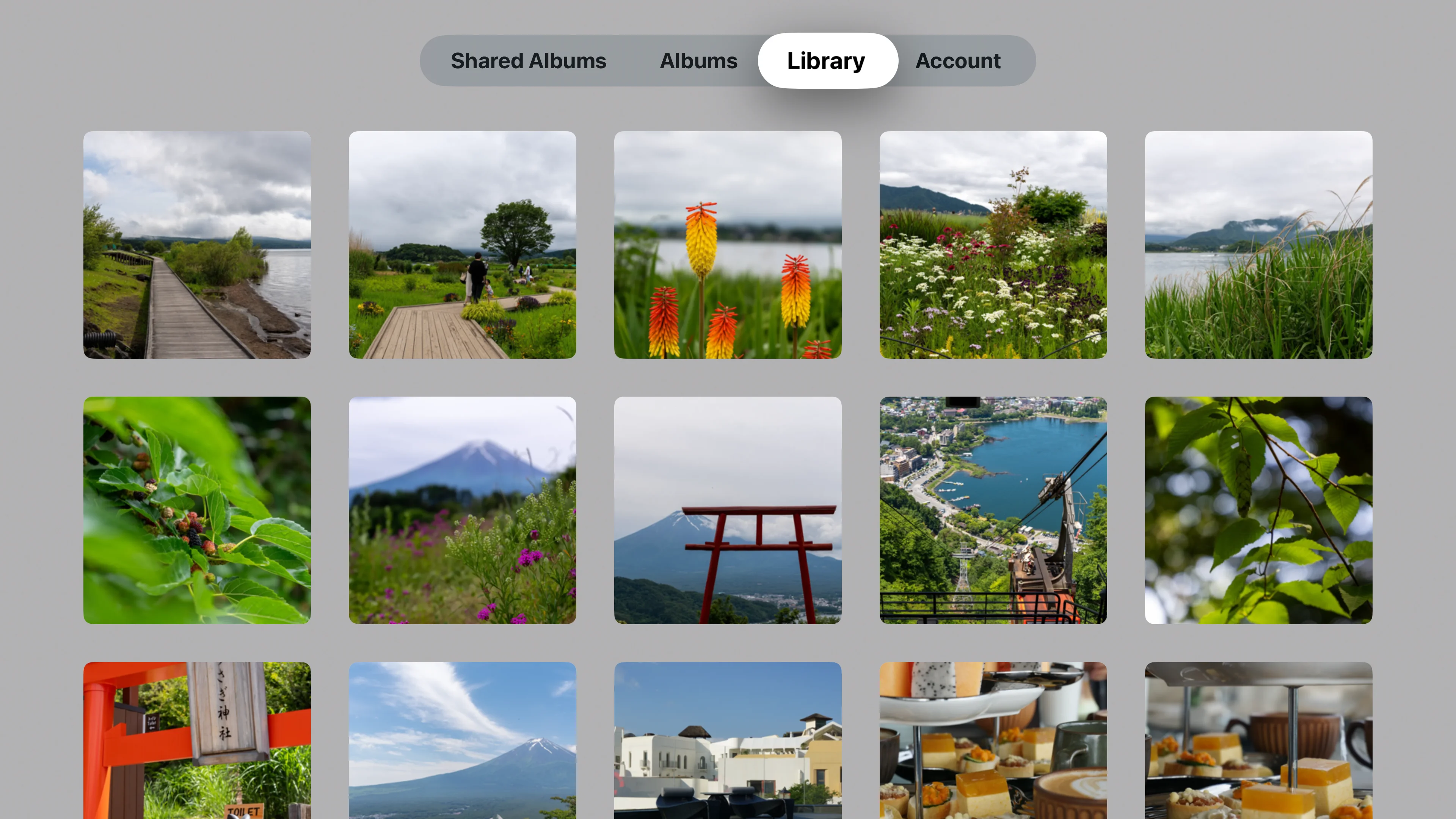 Library page